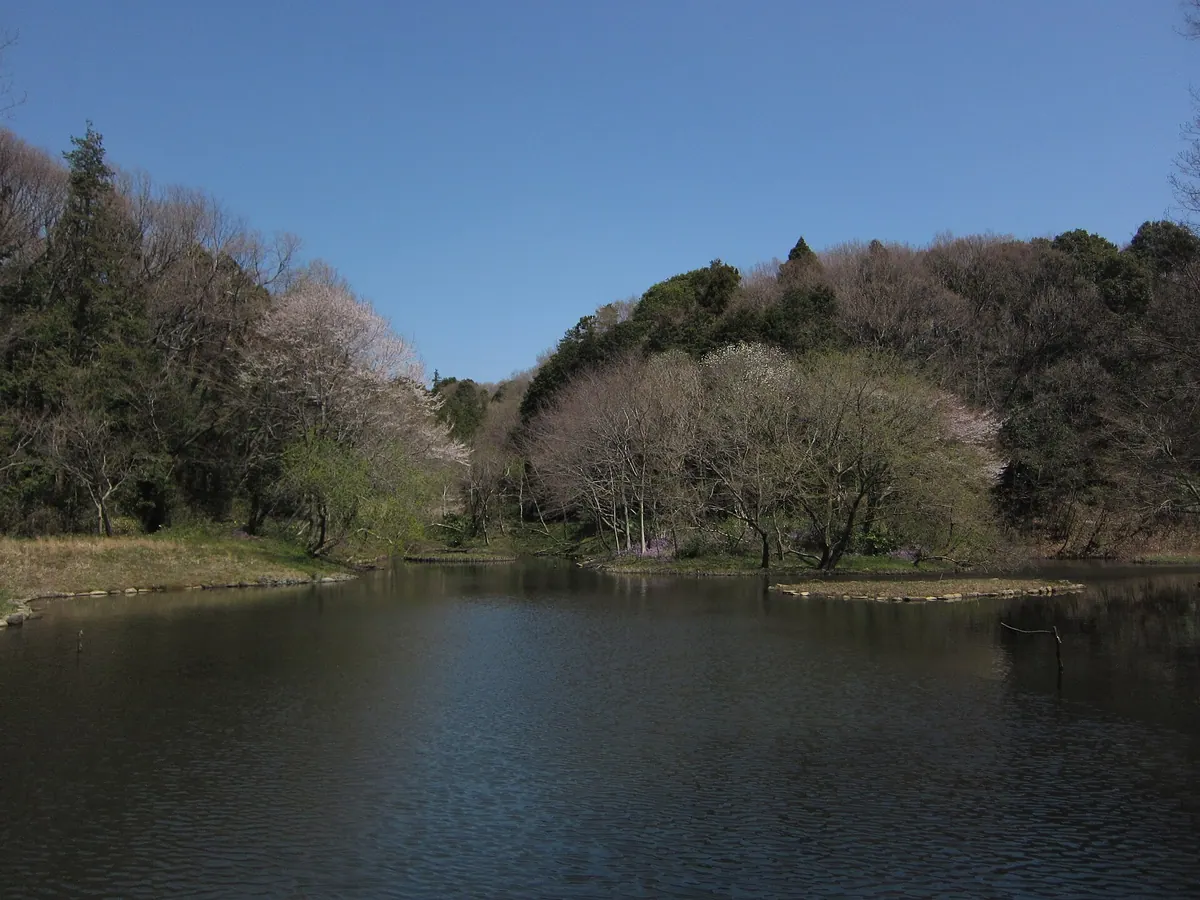 Zama Yatoyama Park