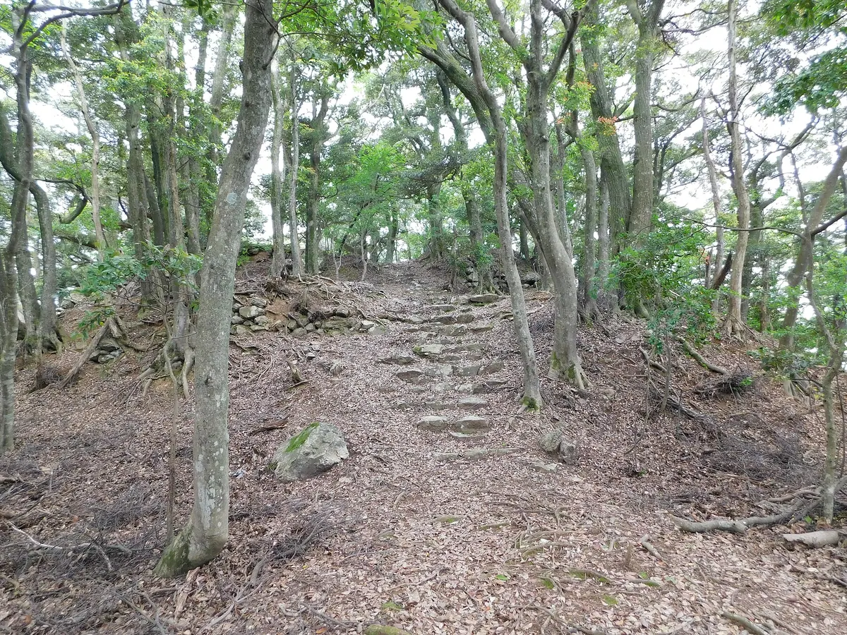 Nochiseyama Castle
