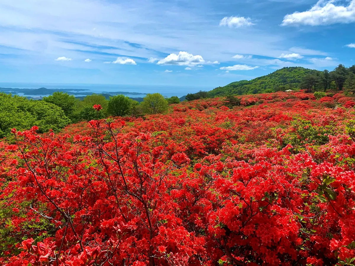 Mount Tokusenjō