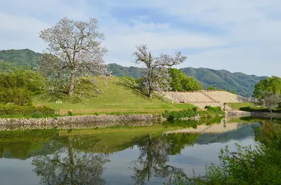 Shionjiyama Kofun