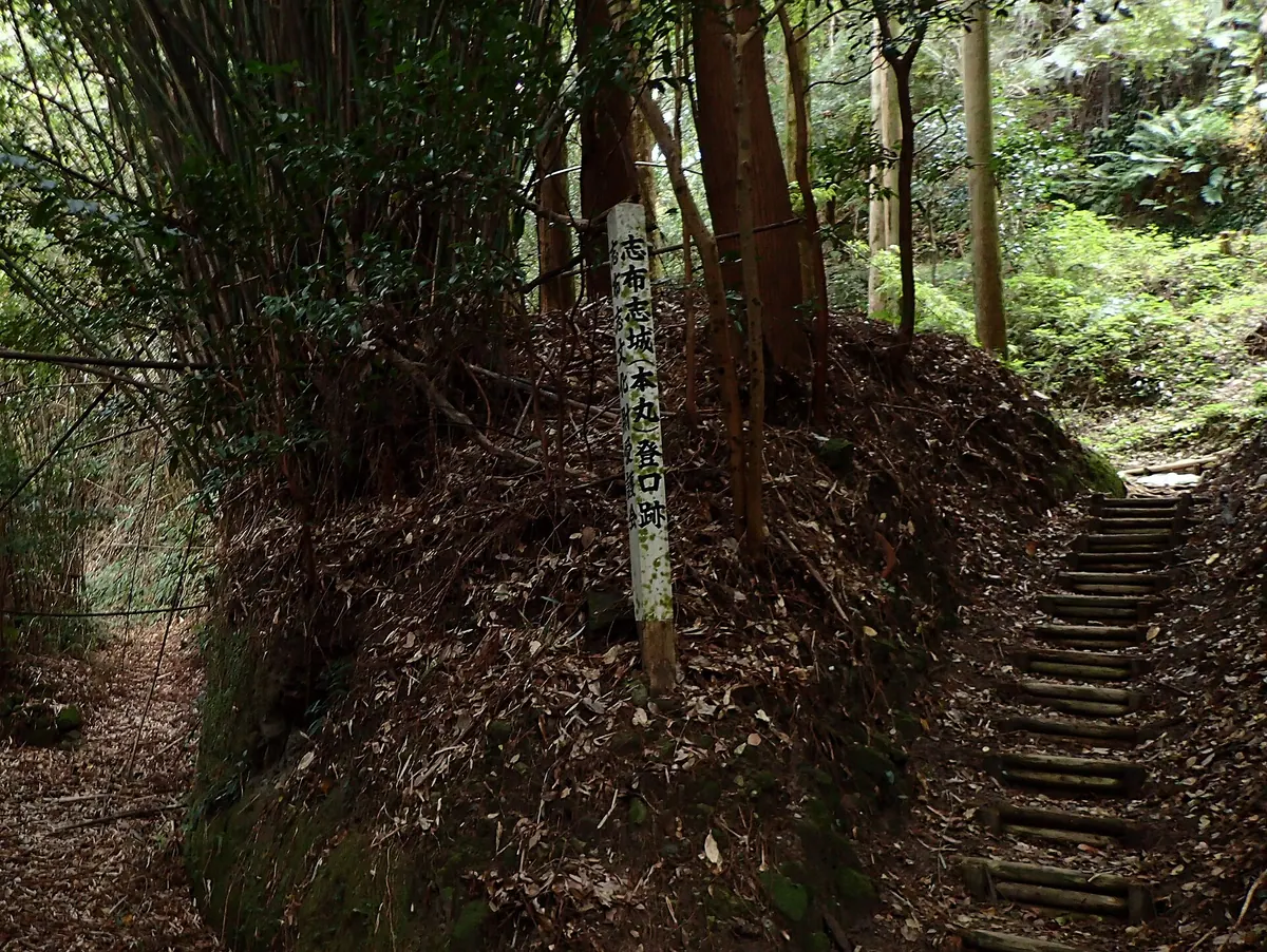Shibushi Castle