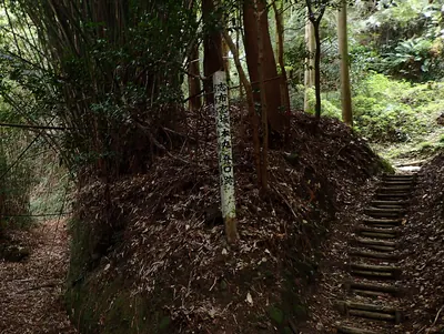 Shibushi Castle