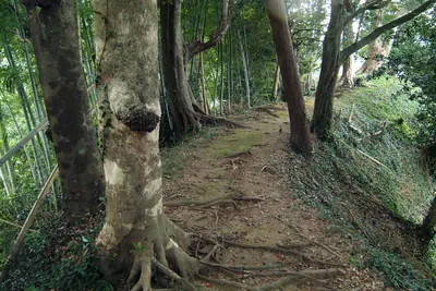 Ito Castle