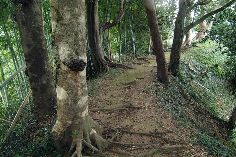 Ito Castle
