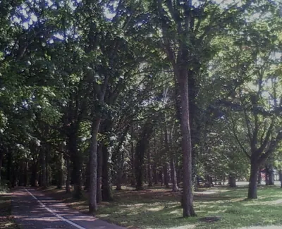Eniwa Park