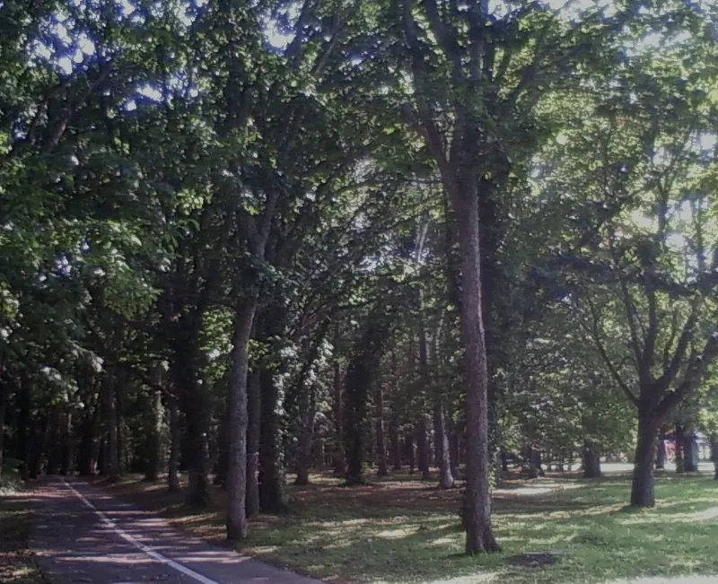 Eniwa Park