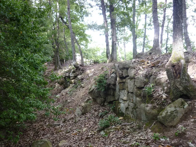 Kanjōsan Castle