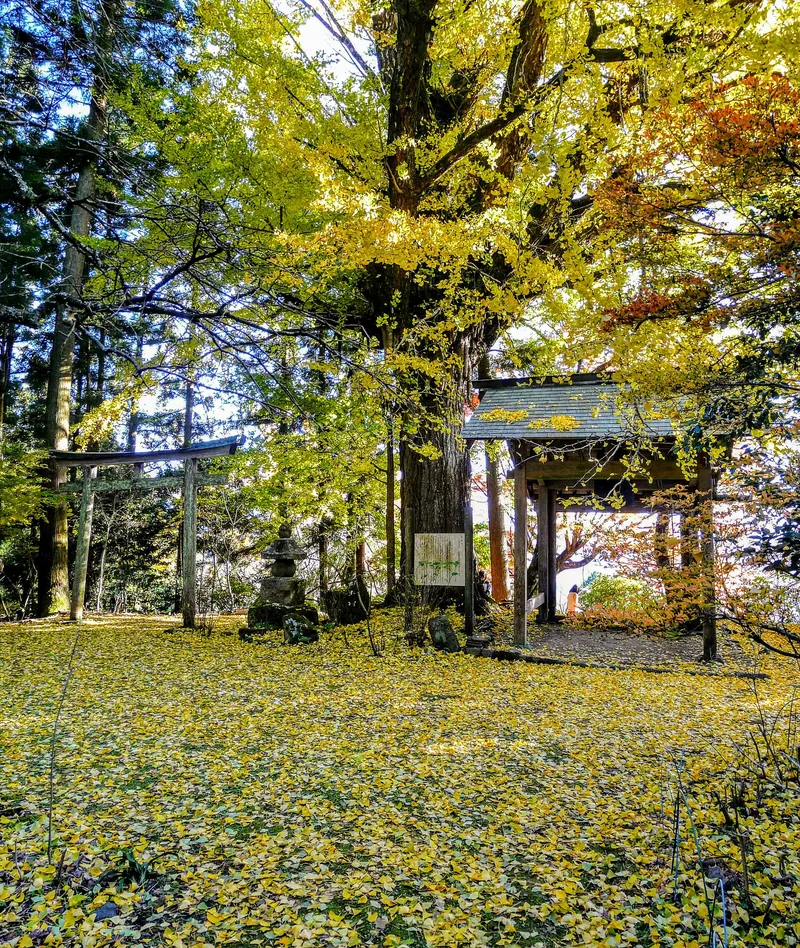 Kaichō-ji Temple