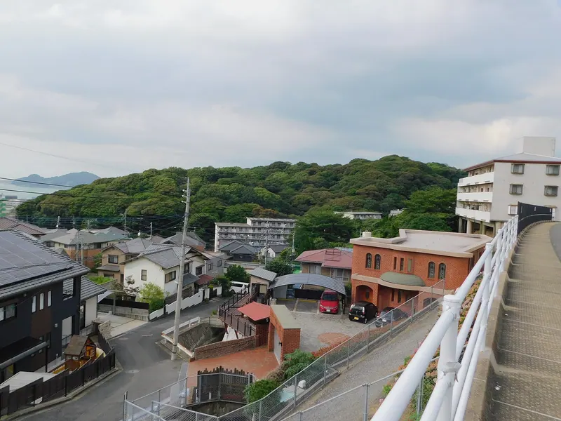 Mount Tamuke