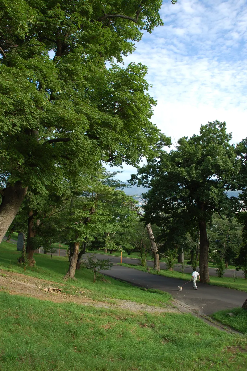 Temiya Park