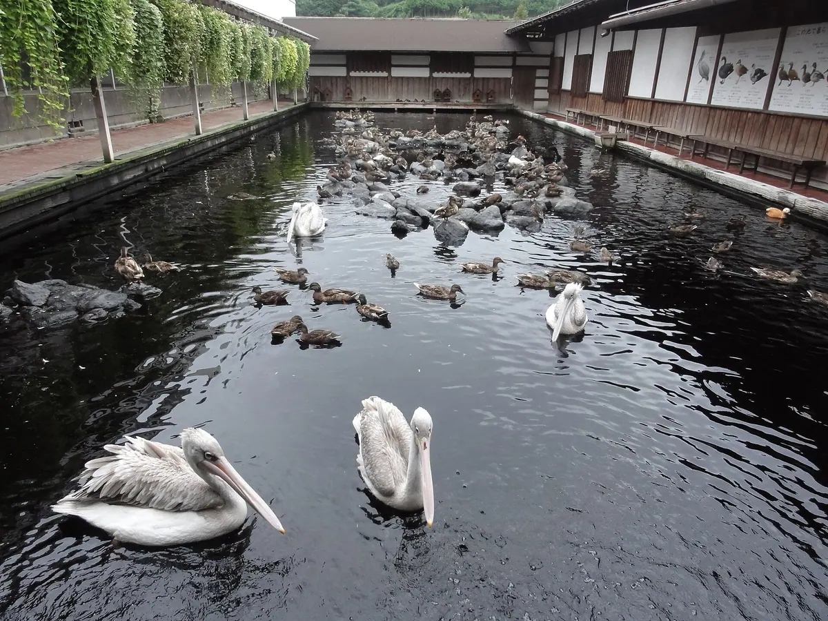 Kakegawa Kachoen