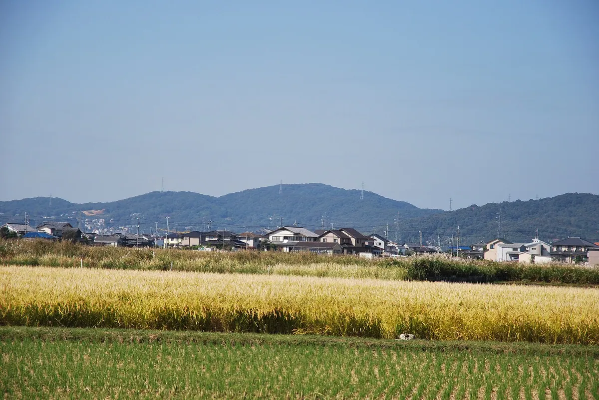Mount Misao