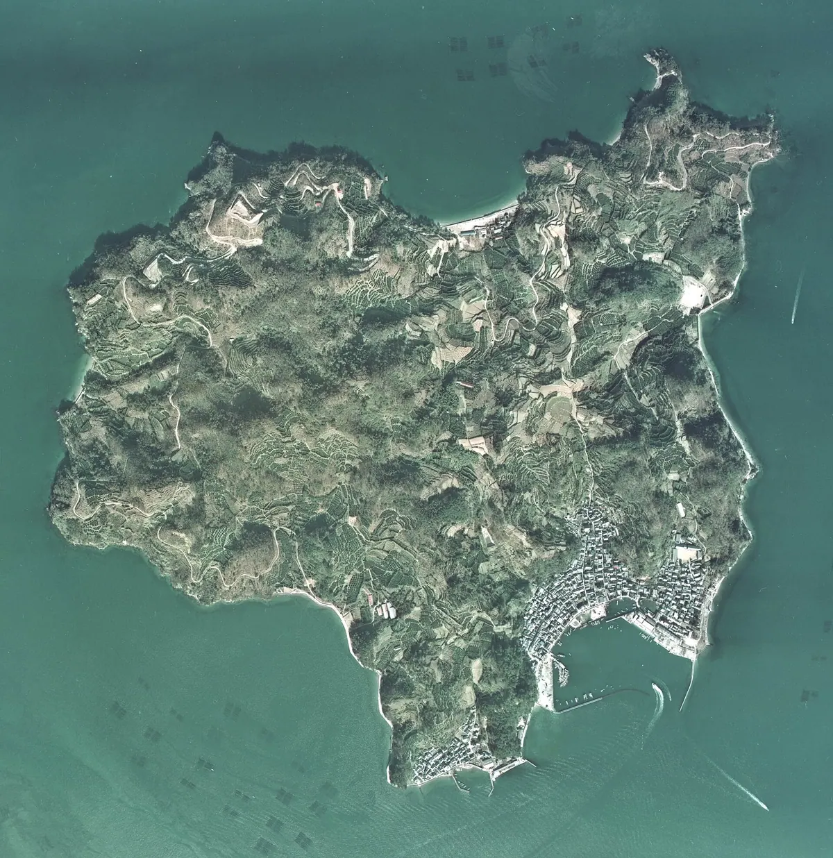 Nii Ōshima