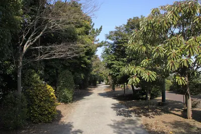Shin-Kiba Greenway
