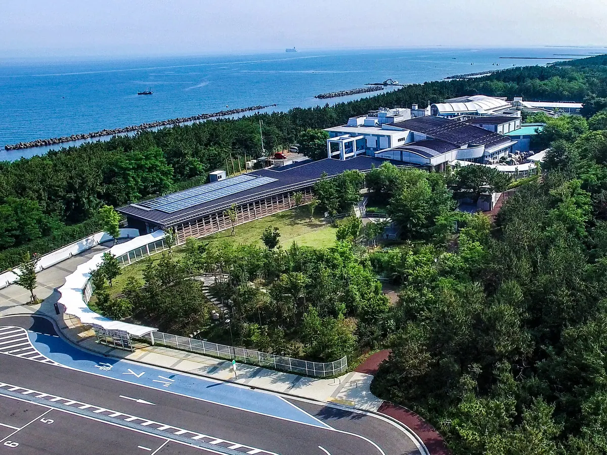 Niigata City Aquarium Marinepia Nihonkai