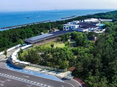 Niigata City Aquarium Marinepia Nihonkai