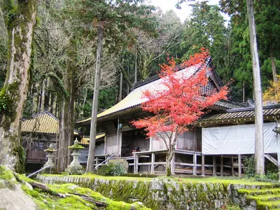 Nikkō-in Temple