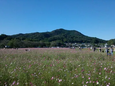 Mount Hiwada