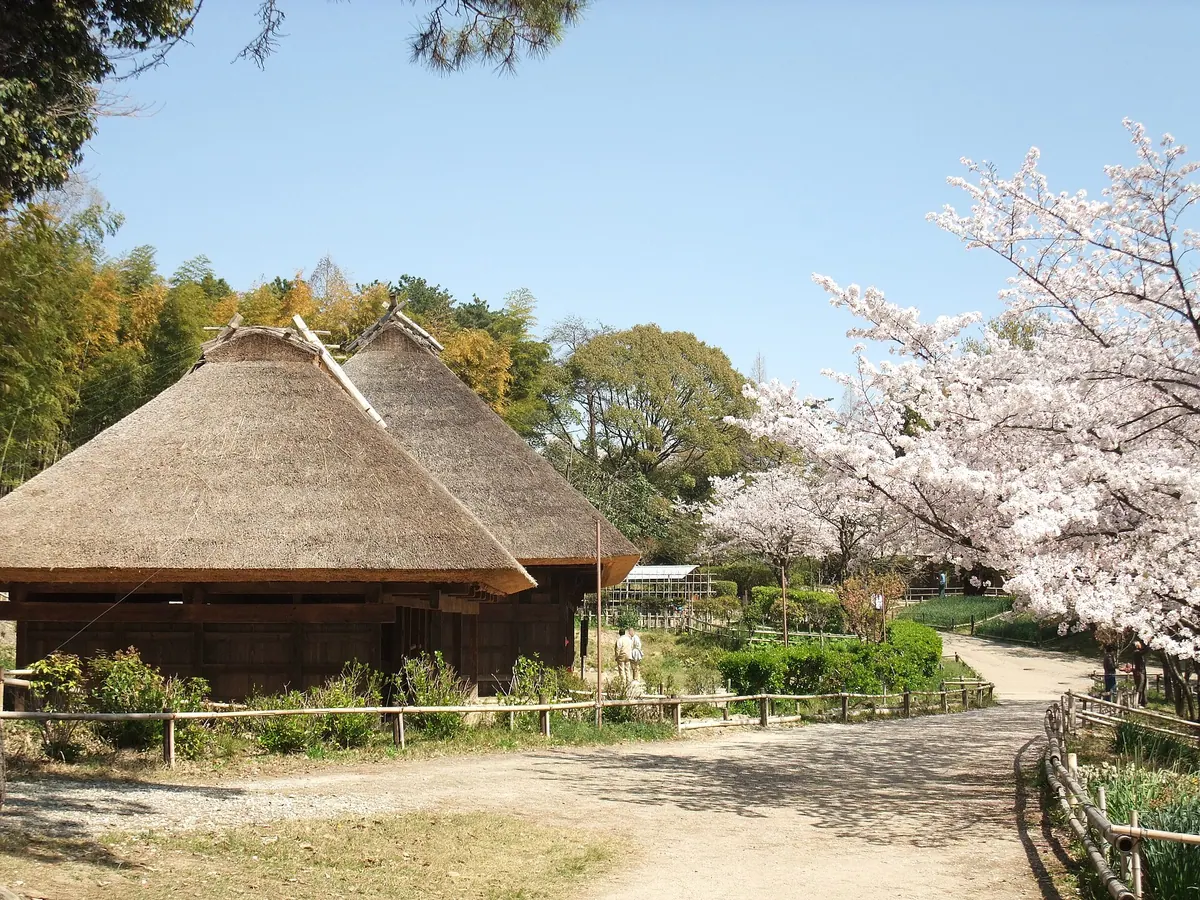 Open-Air Museum of Old Japanese Farm Houses