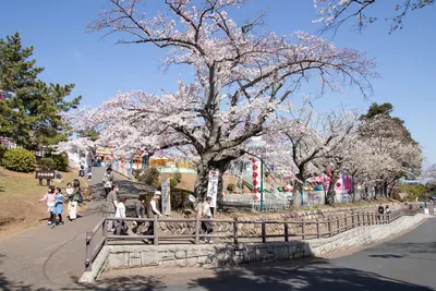Kamine Park