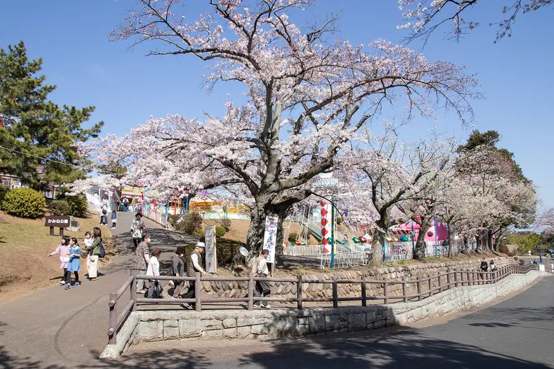 Kamine Park
