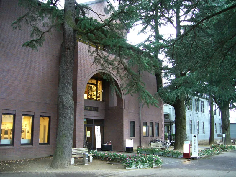 Old Higher School Museum