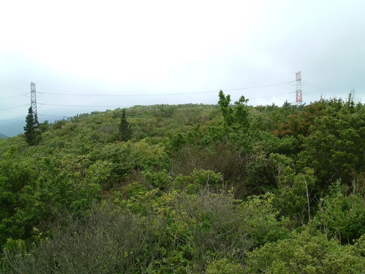 Asahiga Maru
