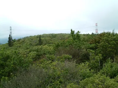 Asahiga Maru