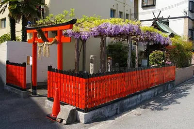 Kasuga Shrine