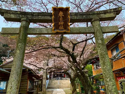 Kasuga Shrine