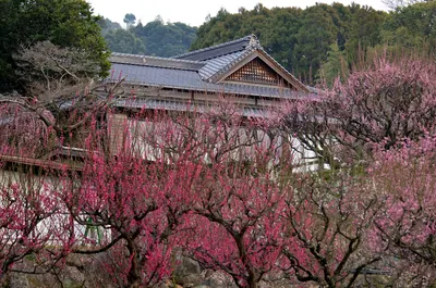 Fuko-ji Temple (Omuta)