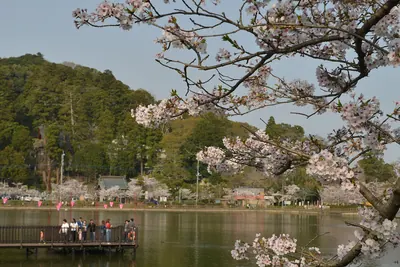 Saifuku-ji Temple