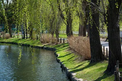 Tsukisamu Park