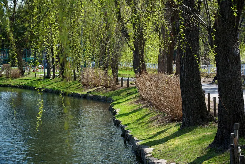 Tsukisamu Park
