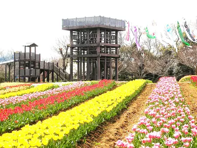 Kihara Castle