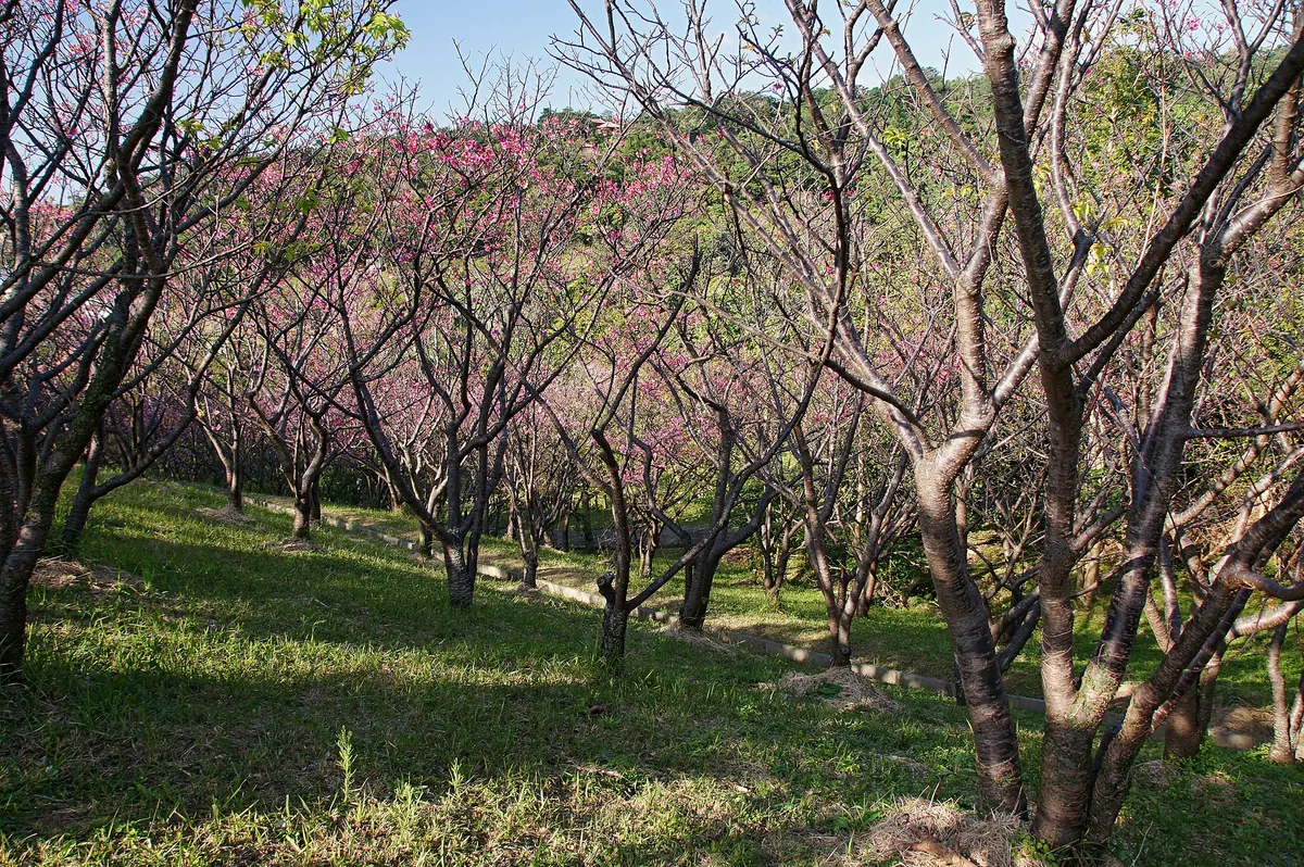 Sueyoshi Park