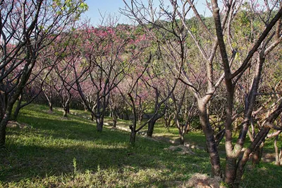 Sueyoshi Park