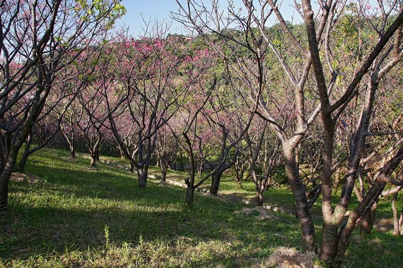 Sueyoshi Park