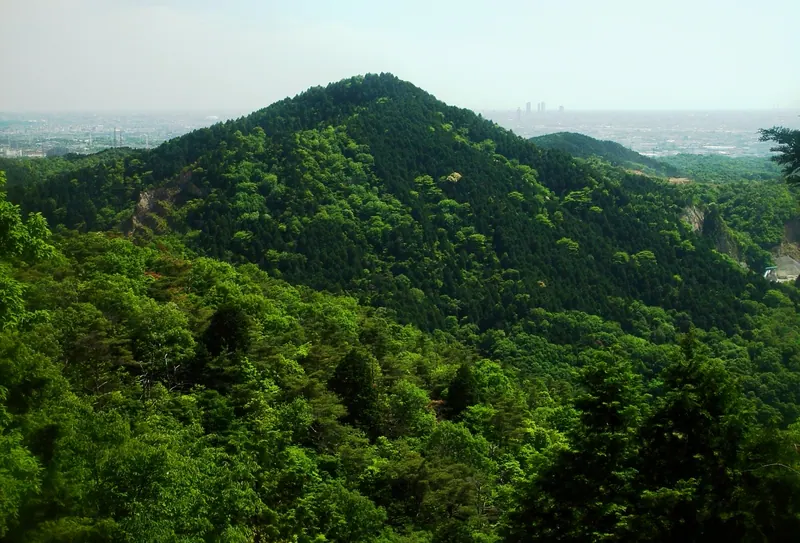 Mount Hongu