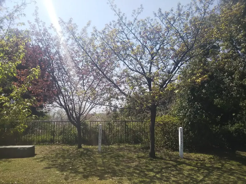 Honmoku Sanchō Park