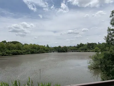 Irigaike Park