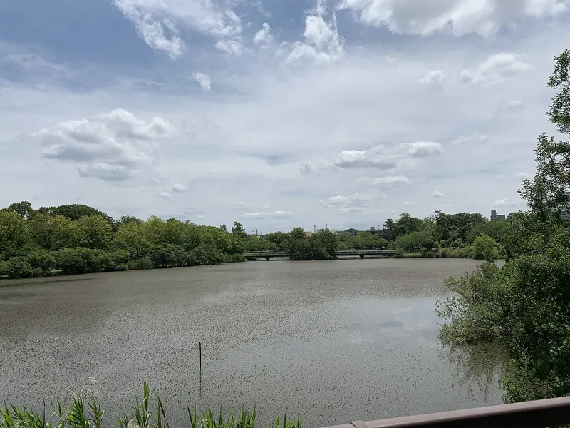 Irigaike Park