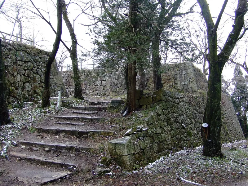 Murakami Castle