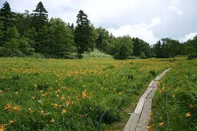 Higashitateyama Alpine Botanical Garden