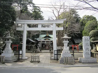 Kizuki-taisha