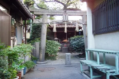 Matsunokidaimyōjin