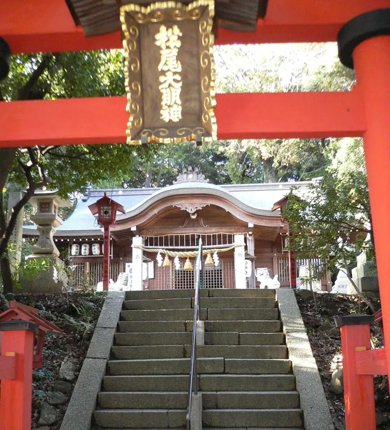 Matsuo Shrine