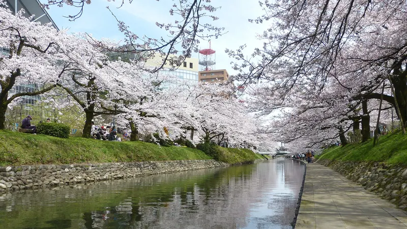 Matsu River Park