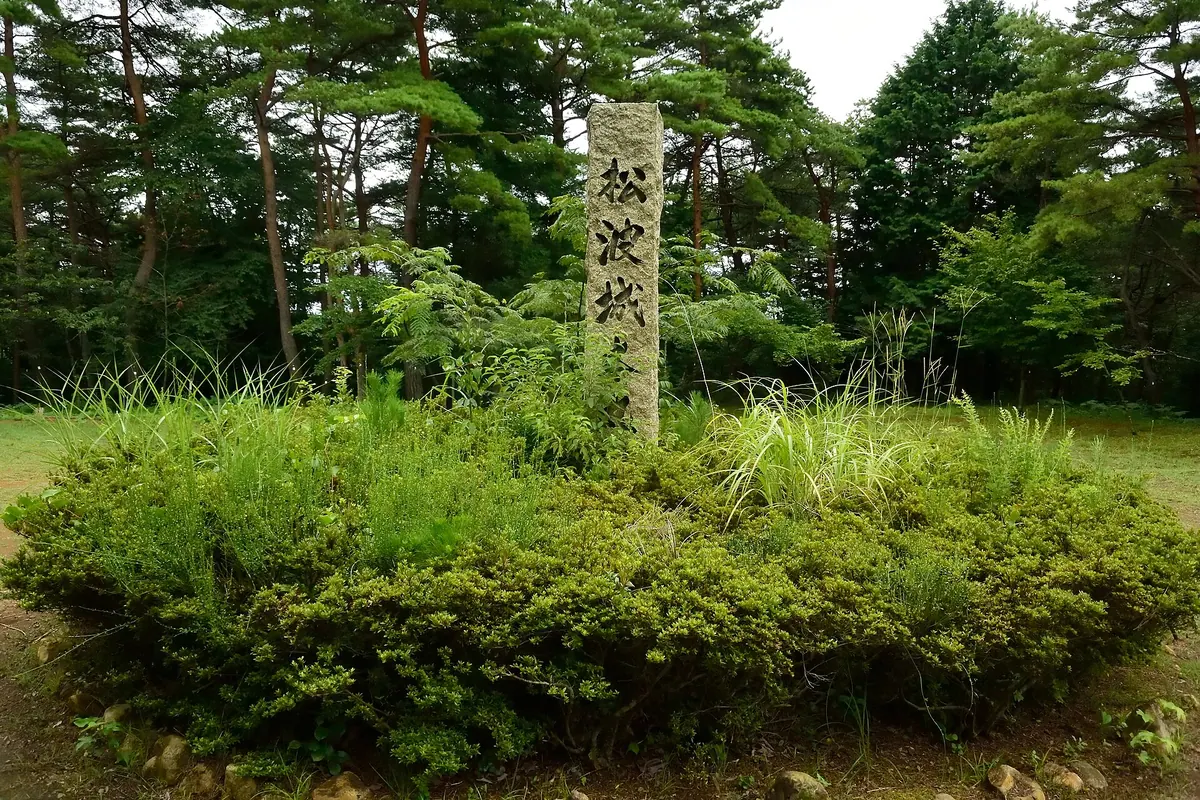 Matsunami Castle