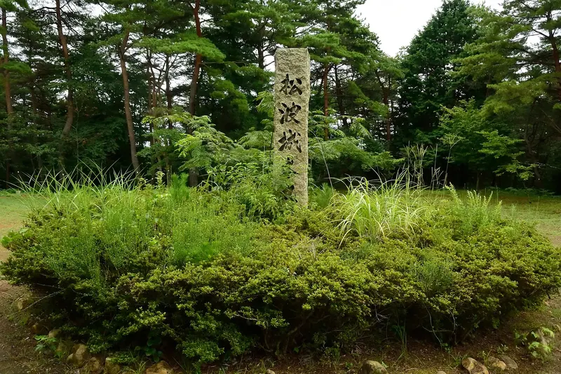 Matsunami Castle